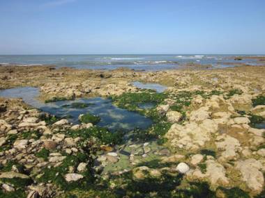 Hôtel Île de Lumière