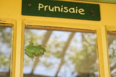 La Calanque de Figuerolles