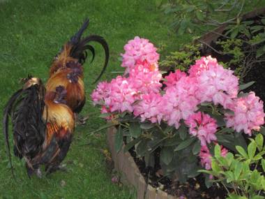 Le Relais de la Tour