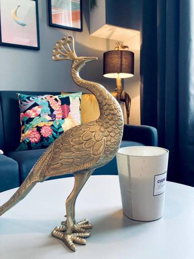 La bulle des Viennes