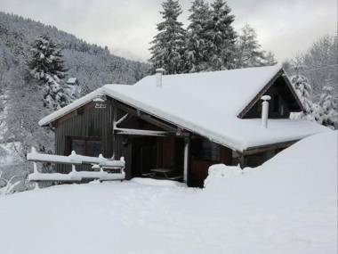 Chalet La Bresse 5 pièces 11 personnes - FR-1-589-86