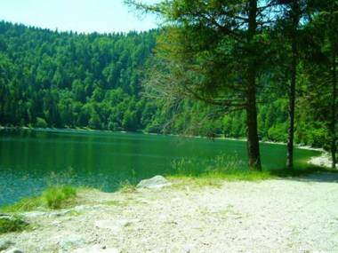 Gîte La Bresse 3 pièces 5 personnes - FR-1-589-152