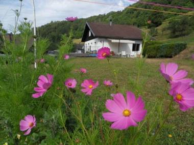 Gîte La Bresse 2 pièces 3 personnes - FR-1-589-168