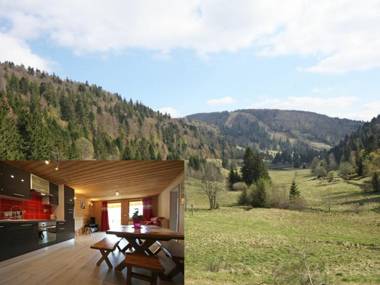 Gîte La Bresse 3 pièces 4 personnes - FR-1-589-264