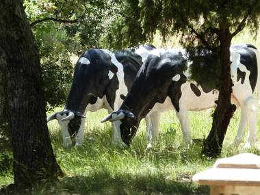 Le Jas de Joucas Hôtel-Restaurant