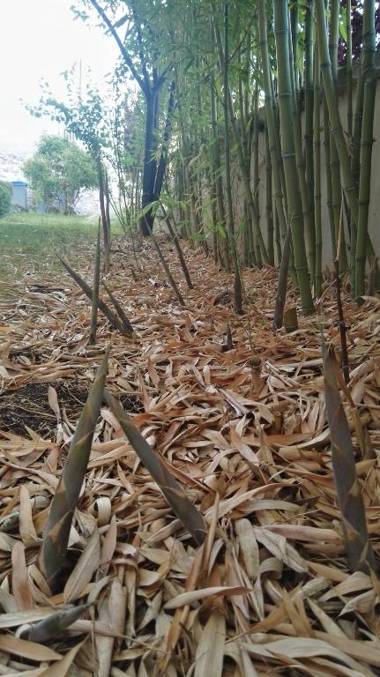 Hôtel Cinépole 3 étoiles Joinville le Pont