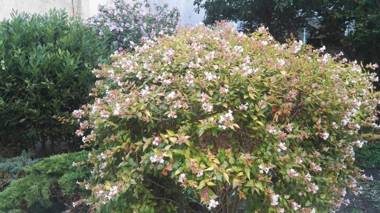 Hôtel Cinépole 3 étoiles Joinville le Pont