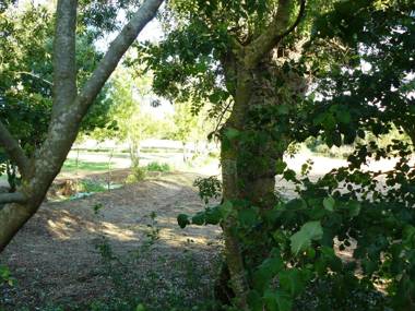 Les Plénitudes du Rivage