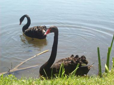 Hôtel L'ile Du Saussay