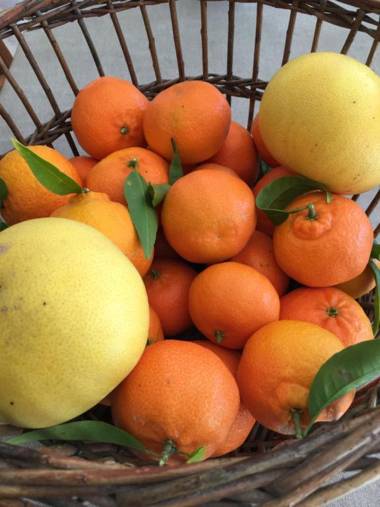 Domaine de l'Aufrene