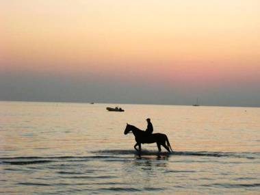 Studio a Hyeres a 50 m de la plage avec terrasse amenagee et wifi