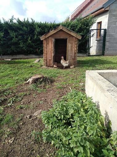 Les Maitres Sonneurs