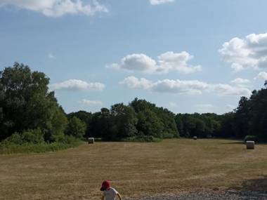 Gîte Hambers 4 pièces 6 personnes - FR-1-600-132