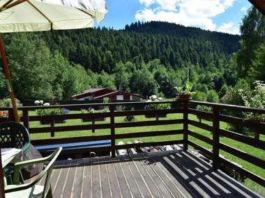 Cosy Chalet in Turquestein Blancrupt for family close to mountain stream