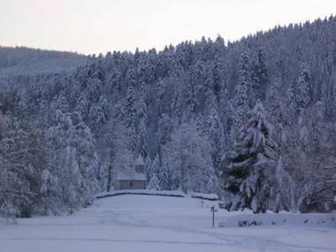 Gîte Xonrupt-Longemer 3 pièces 4 personnes - FR-1-589-218