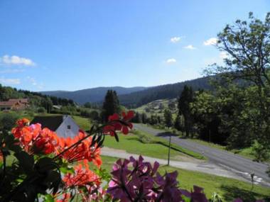 Gîte Ban-sur-Meurthe-Clefcy 3 pièces 5 personnes - FR-1-589-137