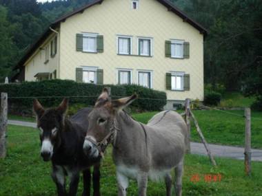 Gîte Ban-sur-Meurthe-Clefcy 5 pièces 9 personnes - FR-1-589-6