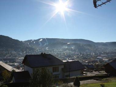 Chalet Gérardmer 3 pièces 4 personnes - FR-1-589-37