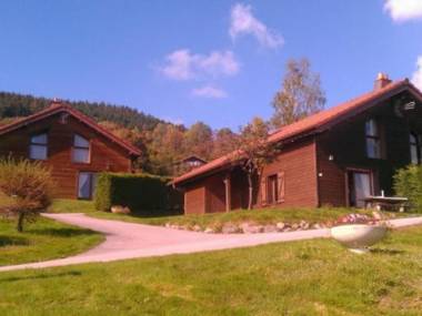 Chalet Gérardmer 3 pièces 4 personnes - FR-1-589-95