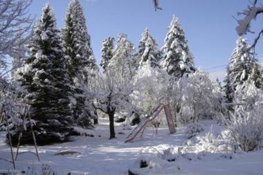 Hotel Restaurant Le Carina