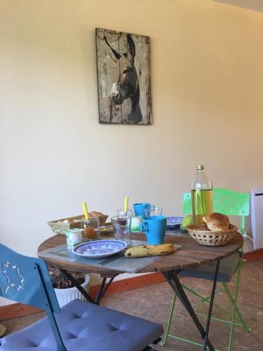 Les Ânes de Forcalquier