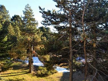 Appartement Font-Romeu-Odeillo-Via 3 pièces 6 personnes - FR-1-580-32