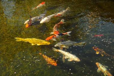 Logis Hotel Des Grands Vins