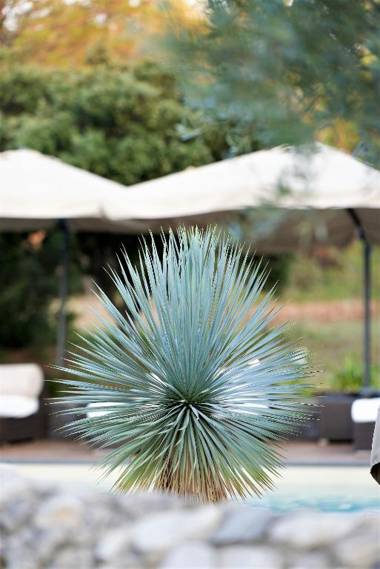 Domaine la Pierre Blanche