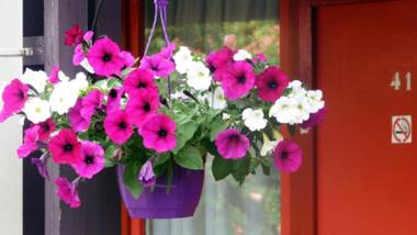 Hotel Restaurant Les Jardins D'Epône