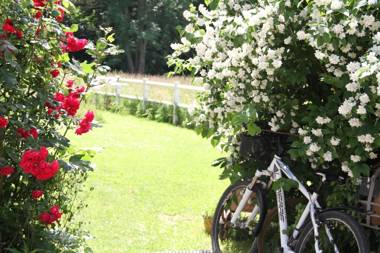 Les Aires en Scènes