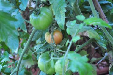 Chambres d'Hôtes Belle Vallee