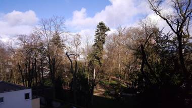 Sweet Home Dijon Nodot