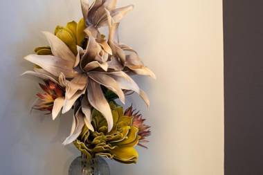 Ma Suite - Maison Tillot