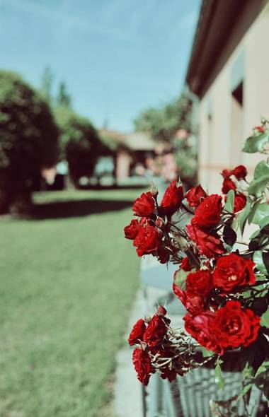 Hôtel - Résidence Le Patio Occitan