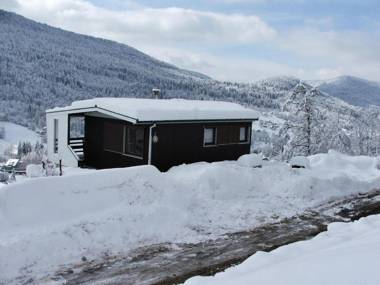 Gîte Cornimont 3 pièces 4 personnes - FR-1-589-20