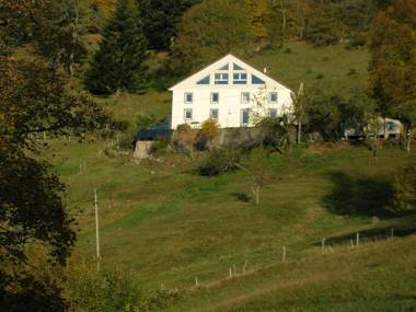 Gîte Cornimont 3 pièces 4 personnes - FR-1-589-84