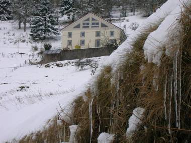 Gîte Cornimont 3 pièces 4 personnes - FR-1-589-84