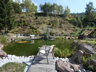 Gîte Cornimont 4 pièces 6 personnes - FR-1-589-10