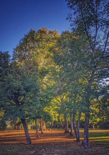 Château des Fousseries