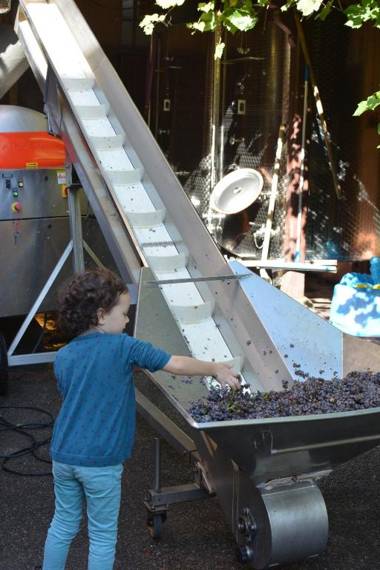 CHEZ CAROLINE dans un havre de verdure et de calme