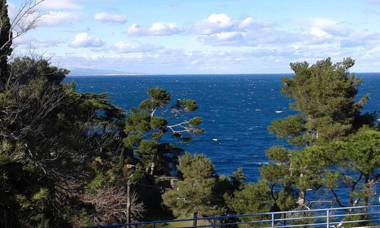 Studio a Collioure a 150 m de la plage avec vue sur la mer et balcon amenage