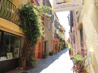 Appartement Collioure 2 pièces 4 personnes - FR-1-309-109