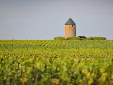 Gîte Clisson 2 pièces 3 personnes - FR-1-306-900