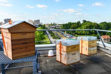 Ibis Orly Chevilly Tram 7