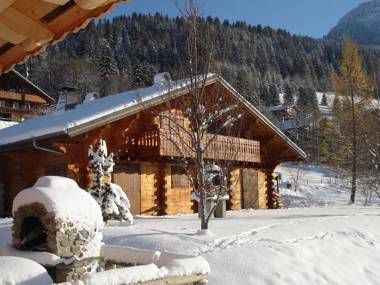 Cosy charateristic chalet near the Petit Châtel lifts.