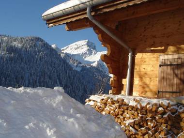 Cosy charateristic chalet near the Petit Châtel lifts.