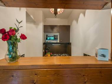 Appartement Chamonix-Mont-Blanc 2 pièces 4 personnes - FR-1-517-18