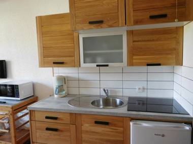 Appartement Chamonix-Mont-Blanc 2 pièces 3 personnes - FR-1-517-54