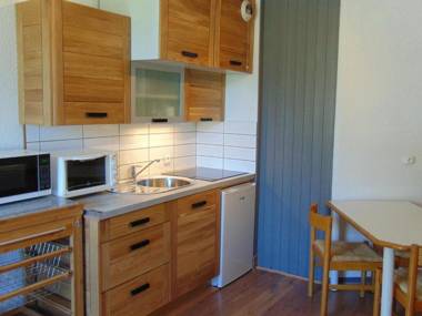 Appartement Chamonix-Mont-Blanc 2 pièces 3 personnes - FR-1-517-54