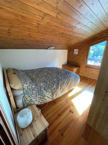 Mont Blanc view apt in the heart of Chamonix